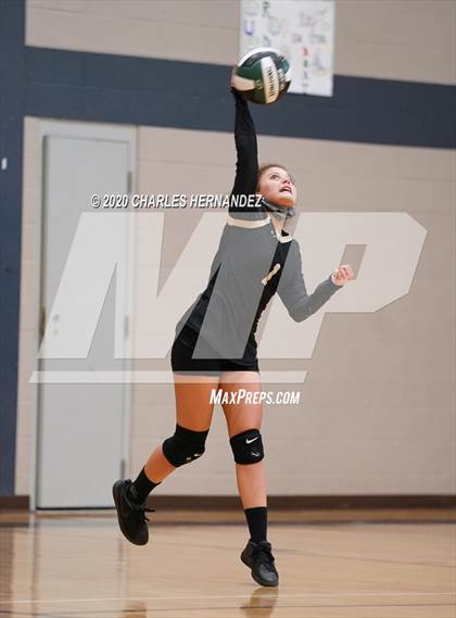 Thumbnail 2 in Porter vs Ellison [C.E.] photogallery.
