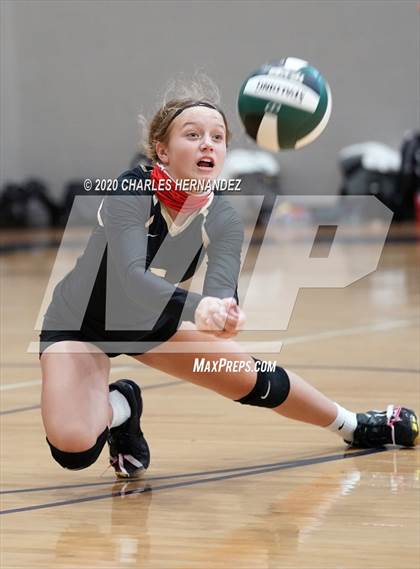 Thumbnail 2 in Porter vs Ellison [C.E.] photogallery.