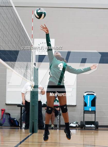 Thumbnail 1 in Porter vs Ellison [C.E.] photogallery.