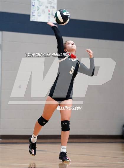 Thumbnail 1 in Porter vs Ellison [C.E.] photogallery.