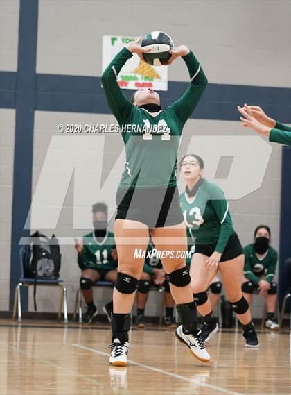 Thumbnail 1 in Porter vs Ellison [C.E.] photogallery.
