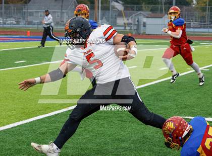 Thumbnail 1 in Paris @ Roxana (IHSA 3A First Round Playoffs) photogallery.