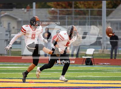 Thumbnail 3 in Paris @ Roxana (IHSA 3A First Round Playoffs) photogallery.