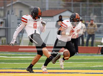 Thumbnail 1 in Paris @ Roxana (IHSA 3A First Round Playoffs) photogallery.