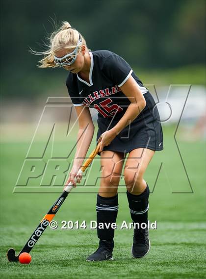 Thumbnail 2 in Wellesley @ Needham photogallery.