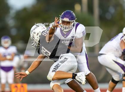 Thumbnail 3 in Gainesville @ Braden River photogallery.