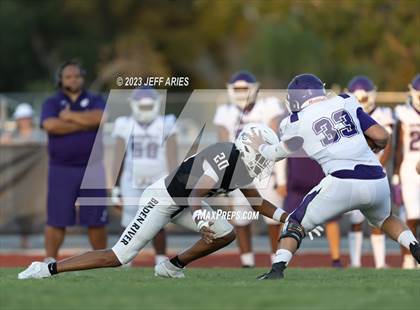 Thumbnail 3 in Gainesville @ Braden River photogallery.