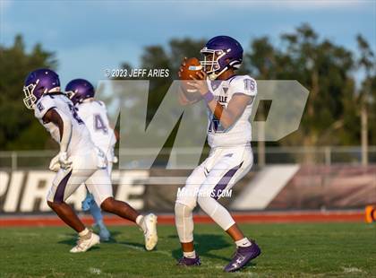Thumbnail 3 in Gainesville @ Braden River photogallery.