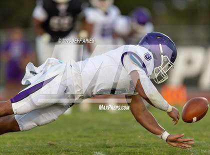 Thumbnail 3 in Gainesville @ Braden River photogallery.