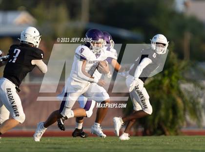 Thumbnail 1 in Gainesville @ Braden River photogallery.