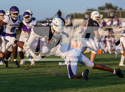 Thumbnail 2 in Gainesville @ Braden River photogallery.