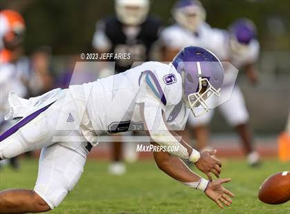 Thumbnail 2 in Gainesville @ Braden River photogallery.