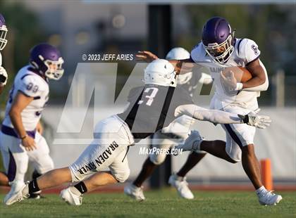 Thumbnail 3 in Gainesville @ Braden River photogallery.