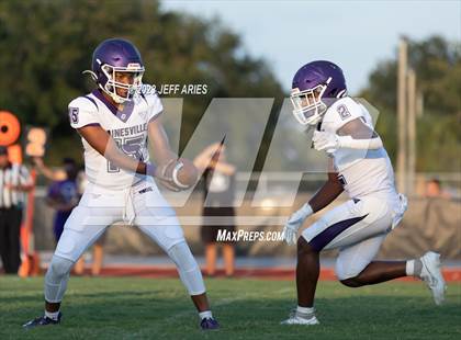 Thumbnail 2 in Gainesville @ Braden River photogallery.