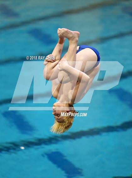 Thumbnail 1 in CHSAA 5A State Diving photogallery.