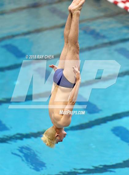Thumbnail 2 in CHSAA 5A State Diving photogallery.