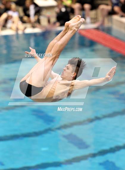Thumbnail 1 in CHSAA 5A State Diving photogallery.
