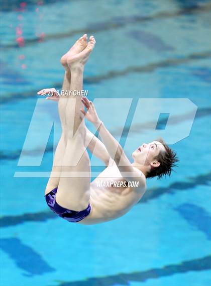 Thumbnail 1 in CHSAA 5A State Diving photogallery.