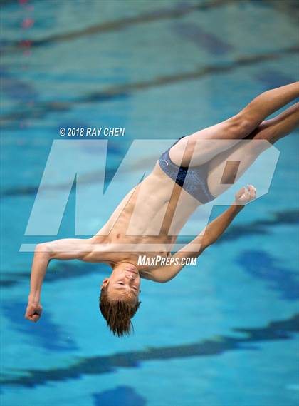 Thumbnail 3 in CHSAA 5A State Diving photogallery.