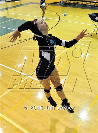 Thumbnail 1 in Land O' Lakes @ Sunlake photogallery.