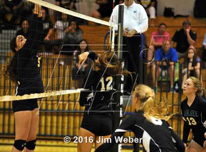 Thumbnail 3 in Land O' Lakes @ Sunlake photogallery.