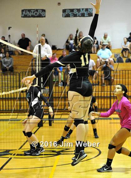 Thumbnail 3 in Land O' Lakes @ Sunlake photogallery.