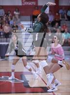 Photo from the gallery "Cypress Ridge @ Memorial"