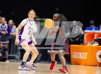 Thumbnail 2 in Baldwin vs Cherokee Bluff (GHSA 3A Championship) photogallery.
