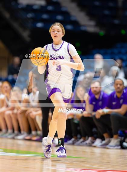Thumbnail 1 in Baldwin vs Cherokee Bluff (GHSA 3A Championship) photogallery.