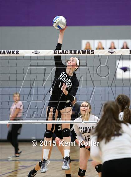Thumbnail 1 in Seaholm @ Lahser (MHSAA District 25 Playoff) photogallery.