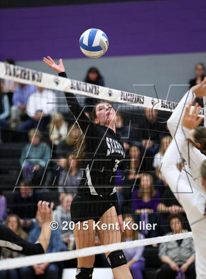 Thumbnail 1 in Seaholm @ Lahser (MHSAA District 25 Playoff) photogallery.