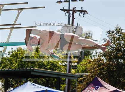 Thumbnail 1 in AIA Division II Diving Finals photogallery.