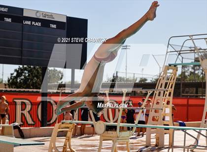Thumbnail 2 in AIA Division II Diving Finals photogallery.