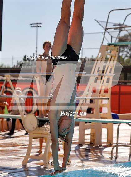Thumbnail 1 in AIA Division II Diving Finals photogallery.