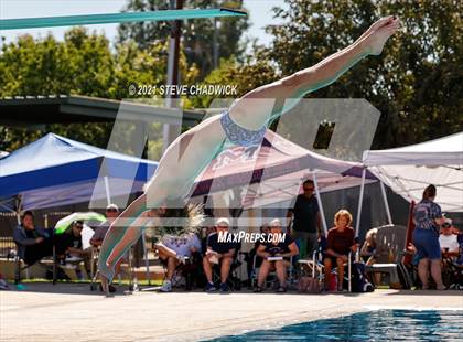 Thumbnail 1 in AIA Division II Diving Finals photogallery.