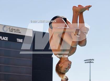 Thumbnail 1 in AIA Division II Diving Finals photogallery.