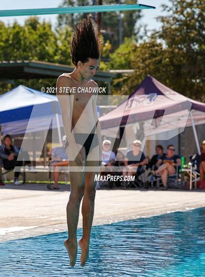 Thumbnail 1 in AIA Division II Diving Finals photogallery.