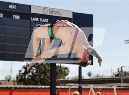 Thumbnail 1 in AIA Division II Diving Finals photogallery.