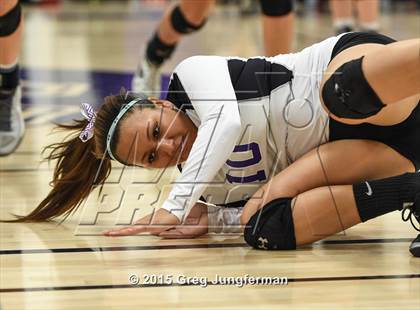 Thumbnail 3 in Windsor @ Petaluma photogallery.