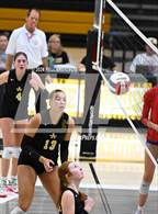 Photo from the gallery "Cherry Creek @ Arapahoe"