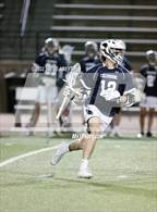 Photo from the gallery "Columbine @ Grandview"