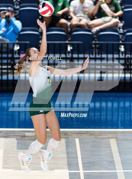 Thumbnail 2 in Stratford vs. Manvel (UIL Volleyball 6A D2 Regional Semifinal) photogallery.