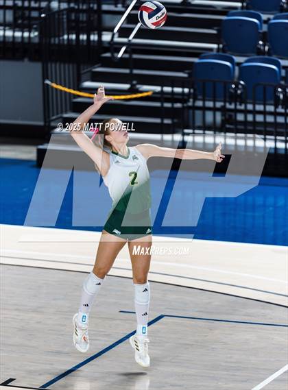 Thumbnail 2 in Stratford vs. Manvel (UIL Volleyball 6A D2 Regional Semifinal) photogallery.