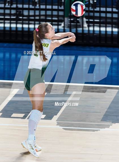 Thumbnail 1 in Stratford vs. Manvel (UIL Volleyball 6A D2 Regional Semifinal) photogallery.