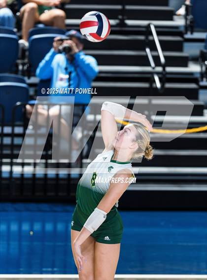 Thumbnail 3 in Stratford vs. Manvel (UIL Volleyball 6A D2 Regional Semifinal) photogallery.