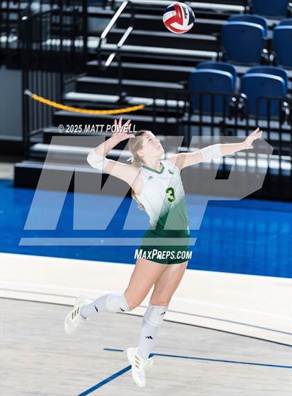 Thumbnail 3 in Stratford vs. Manvel (UIL Volleyball 6A D2 Regional Semifinal) photogallery.