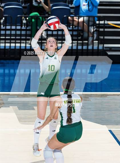Thumbnail 1 in Stratford vs. Manvel (UIL Volleyball 6A D2 Regional Semifinal) photogallery.