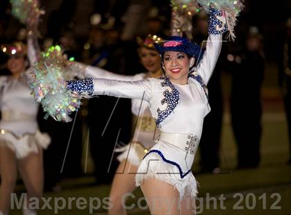 Thumbnail 2 in Clemens @ Boerne-Champion photogallery.