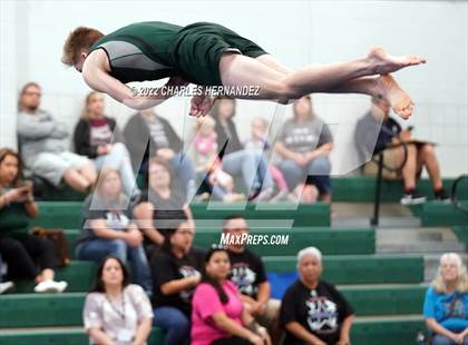 Thumbnail 2 in Texas High School Gymnastics Coaches Association Region 2 Championship photogallery.