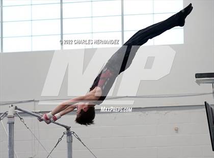Thumbnail 2 in Texas High School Gymnastics Coaches Association Region 2 Championship photogallery.